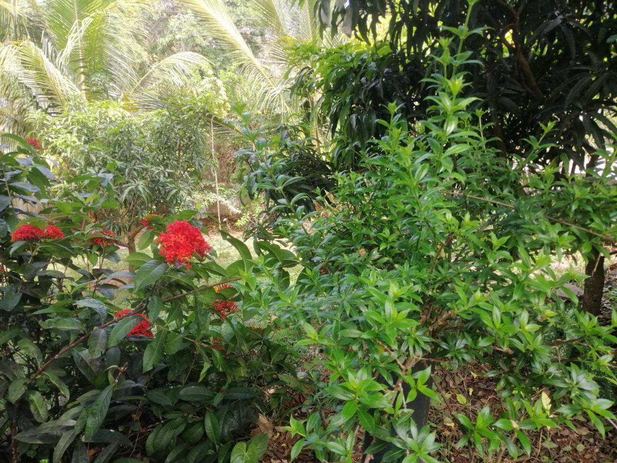 Golden Residence Anuradhapura Zewnętrze zdjęcie