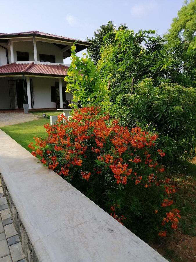 Golden Residence Anuradhapura Zewnętrze zdjęcie