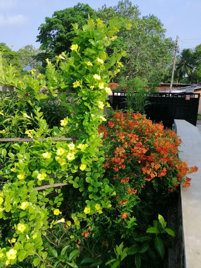 Golden Residence Anuradhapura Zewnętrze zdjęcie